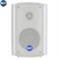 Loa RCF DM 41 10